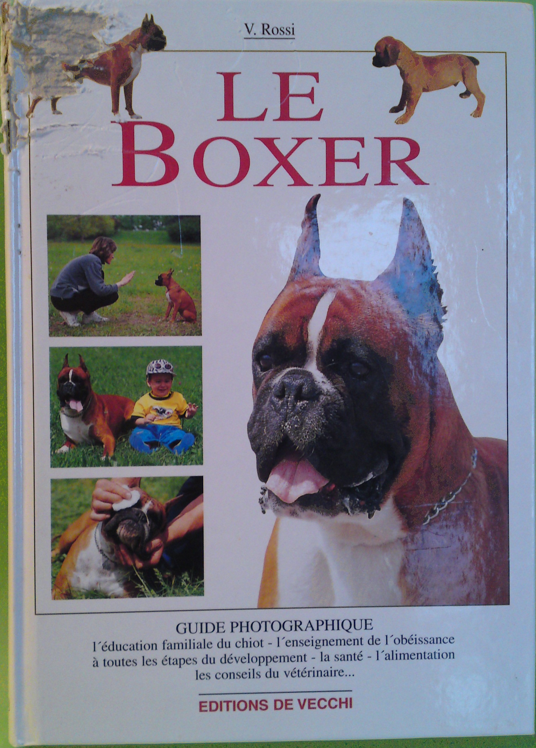 Tout sur le Boxer